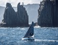 regata2(1)